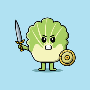 Fundraising Page: Seanan Chan